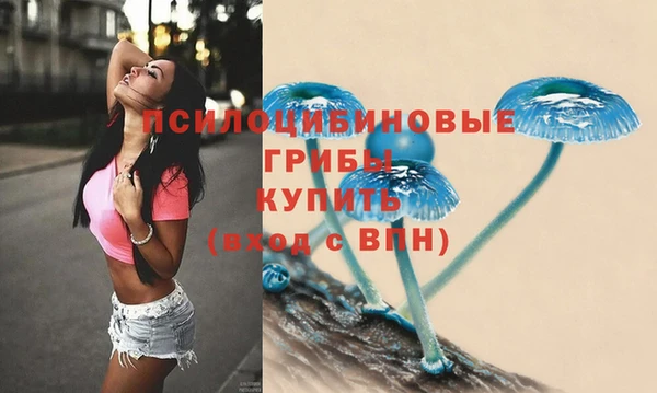 гашишное масло Новодвинск